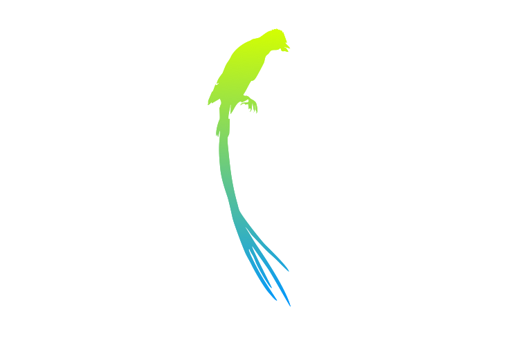 Logo: picture of a pin tailed whydah